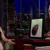 Video: Mary Louise Parker Tries To Explain Bedbugs To David Letterman